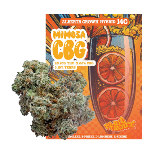 Product image Alberta Grown Hybrid 14g Dried Flower 1