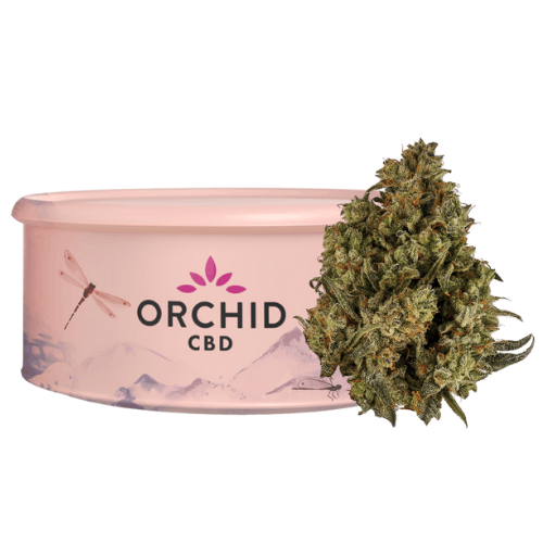 Product image CBD Rntz THC CBD Balanced 3.5g Dried Flower 1