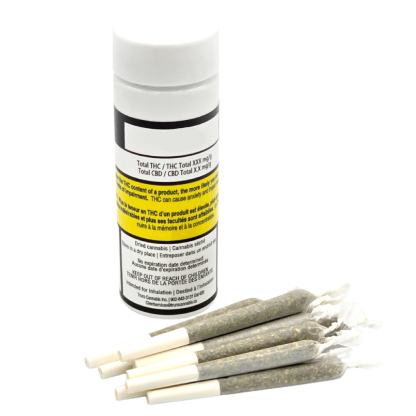 Product image Bluenose Berry 10 x 0.5g 1