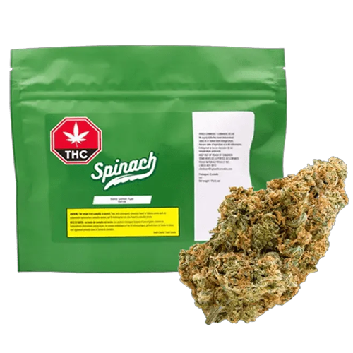 Sonic Lemon Fuel 28g Dried Flower