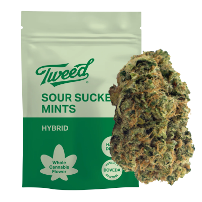 Product image Sour Sucker Mints 28g Dried Flower 1