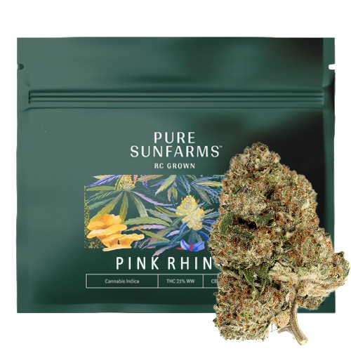Pink Rhino