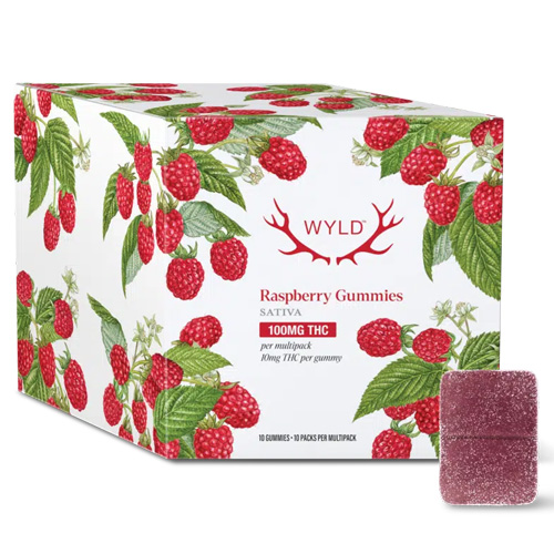 Real Fruit Raspberry Multipack