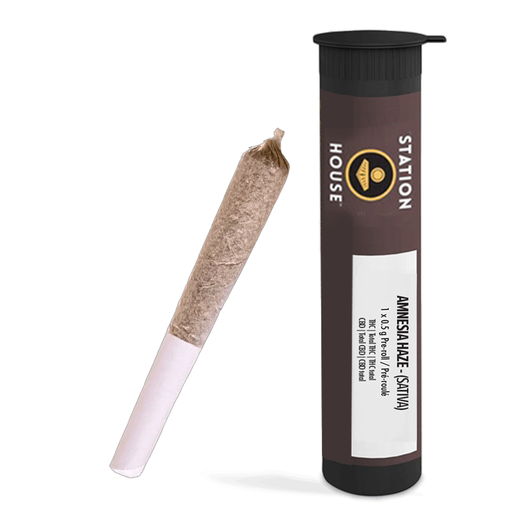 Amnesia Haze 1 x 0.5g