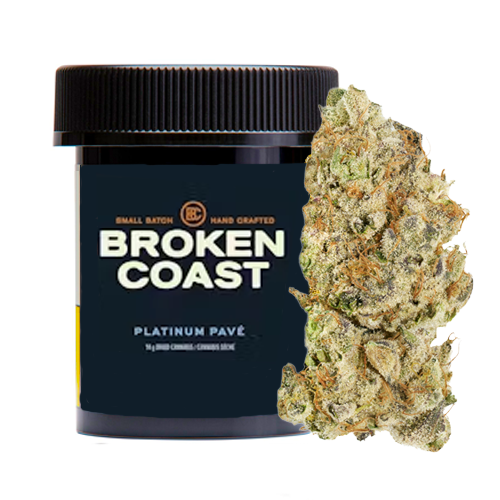 Platinum Pave 3.5g Dried Flower