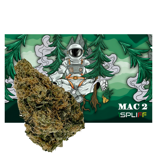 Product image MAC 2   1