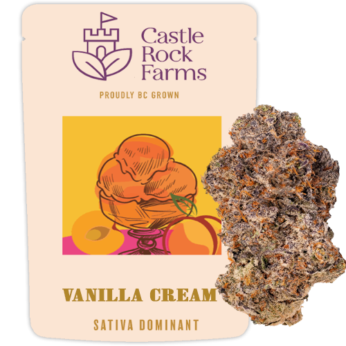 Vanilla Cream 14g Dried Flower
