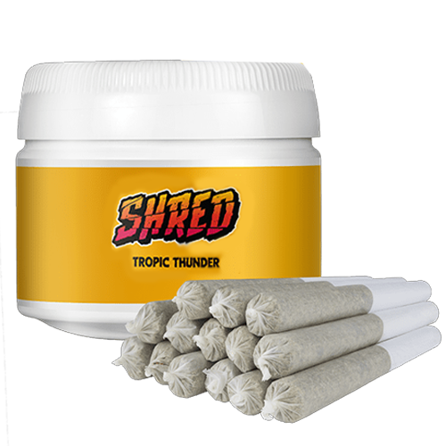 Tropic Thunder J's 14 x 0.5g Prerolls