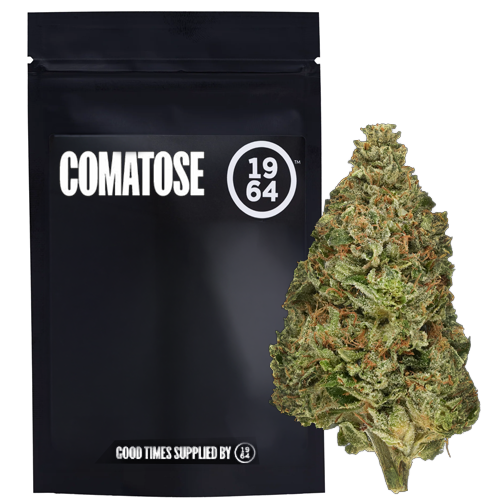 Organic Comatose 3.5g Dried Flower