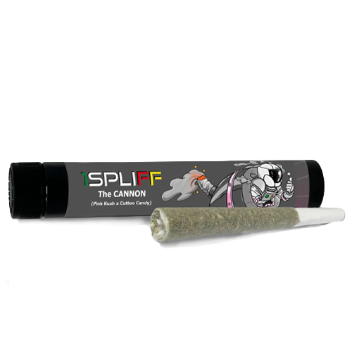 Product image The Cannon 1x1g 1