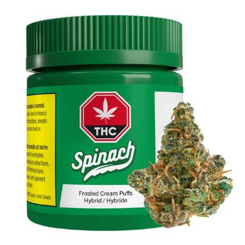 Frosted Cream Puffs 3.5g Dried Flower