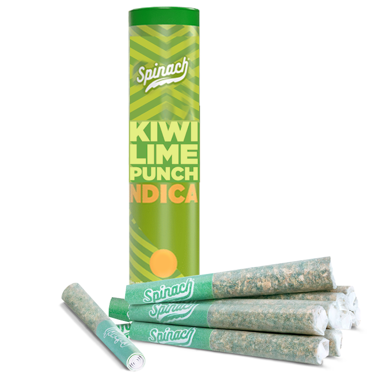 Product image Kiwi Lime Punch 10x0.35g 1