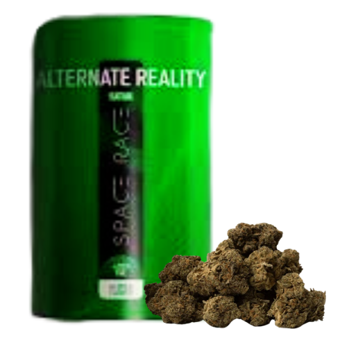 Alternate Reality Dried Flower