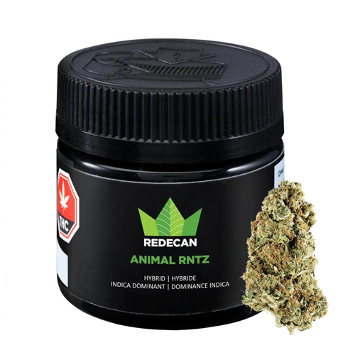 Animal Rntz 3.5g Dried Flower