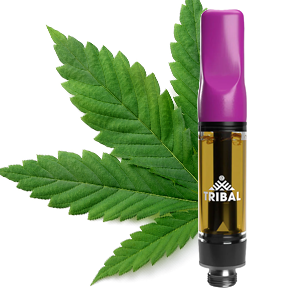 Tribal Galactic Rntz Live Resin 1.0 g Prefilled Vape Cartridge