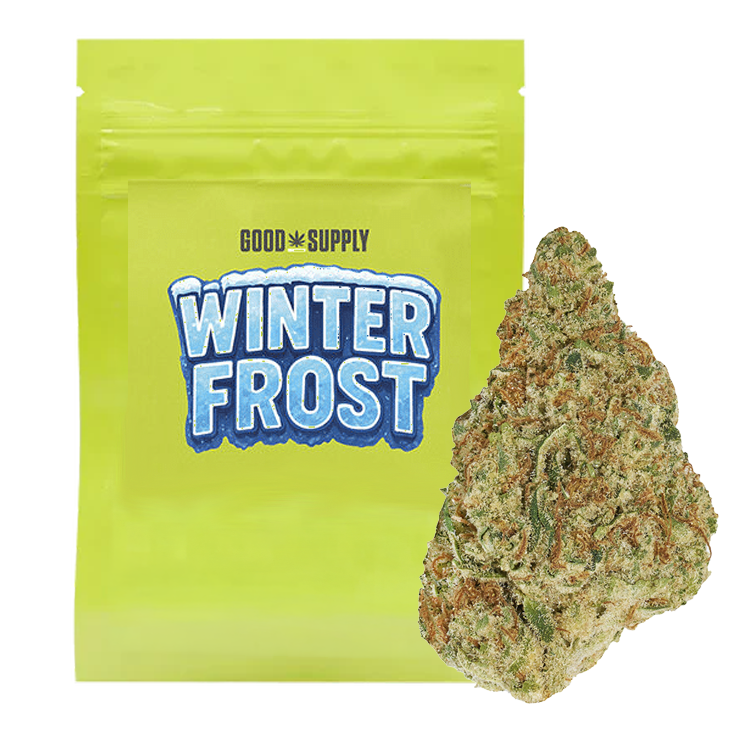Winter Frost 7g Dried Flower