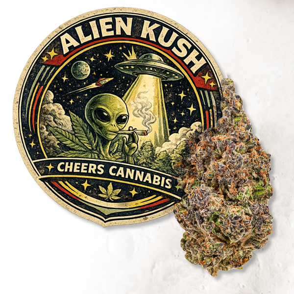  Alien Kush