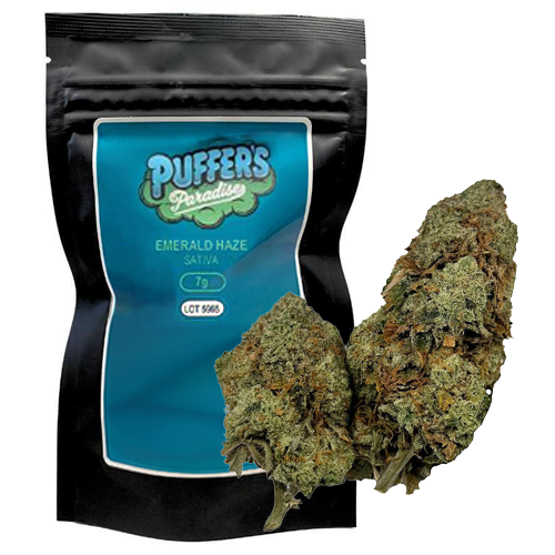 Emerald Haze 7g Dried Flower 