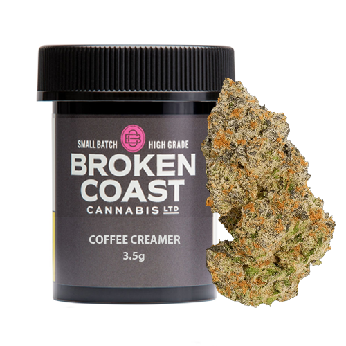 Coffee Creamer 3.5g Dried Flower