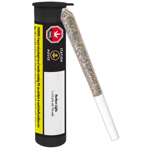 Amnesia Haze 1 x 0.5g PreRoll