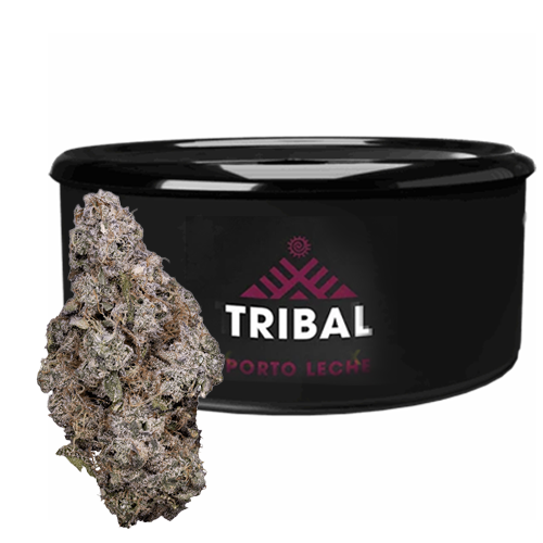 Porto Leche 3.5g Dried Flower