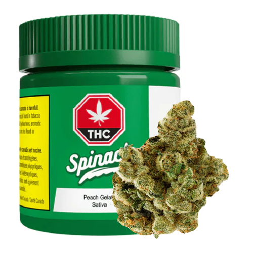 Peach Gelato 3.5g Dried Flower