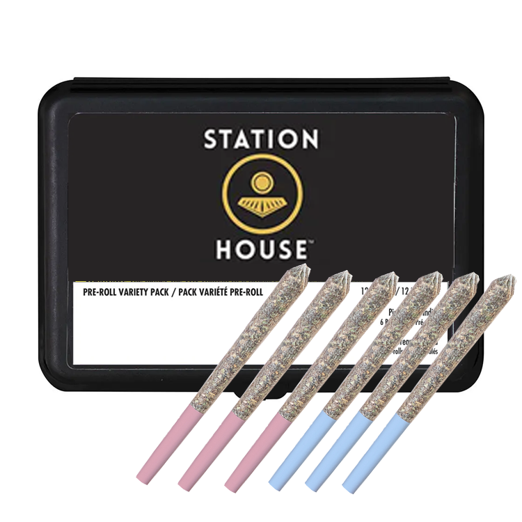 Day and Night Variety Pack 6x0.5g