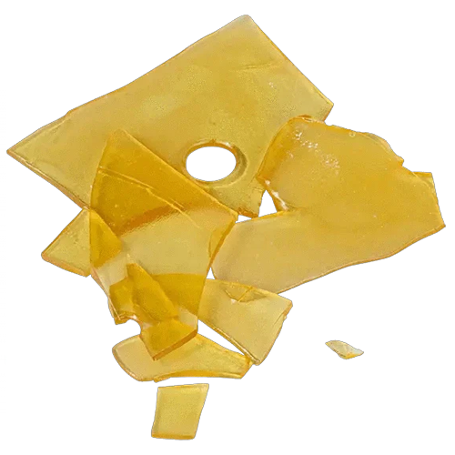 Black Cherry Punch x Jack Herer Shatter