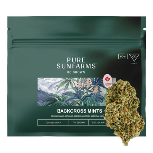 Product image Backcross Mints14g Dried Flower 1
