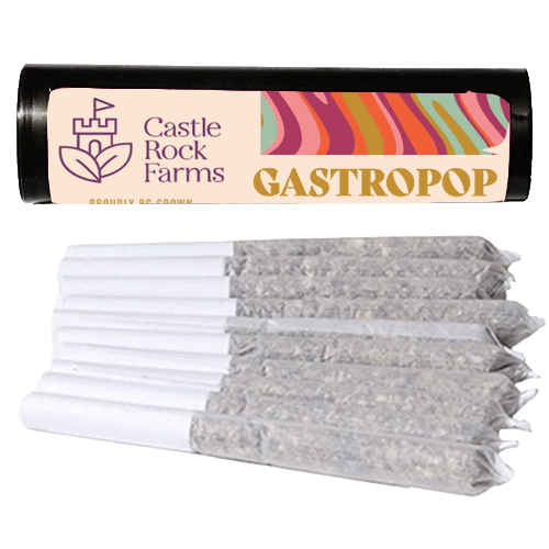 Product image Gastro Pop 10x0.5g 1