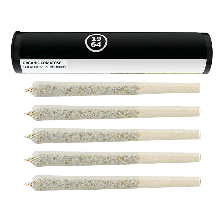 Comatose 5 x 0.5g PreRolls