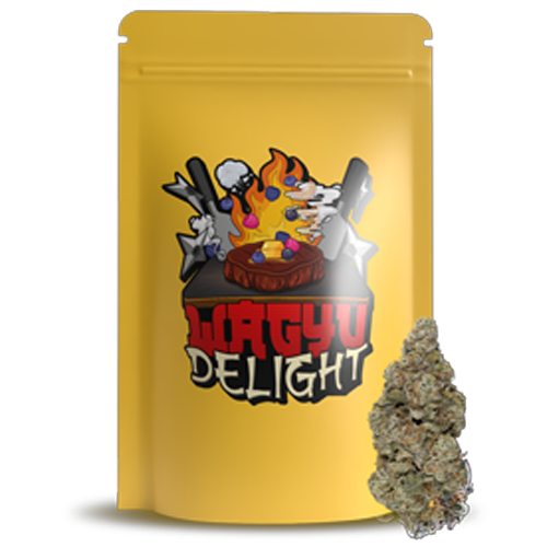 Wagyu Delight 7g Dried Flower