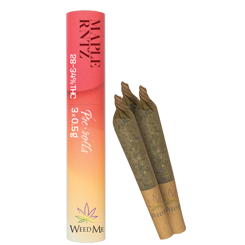 Maple RNTZ  3 x 0.5g PreRolls