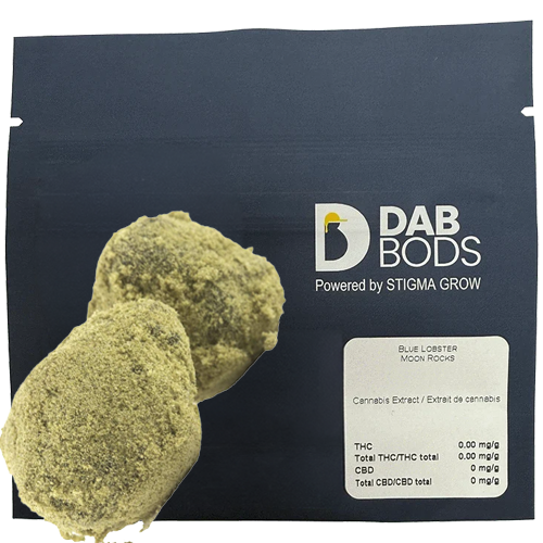 Blue Lobster  Moon Rocks