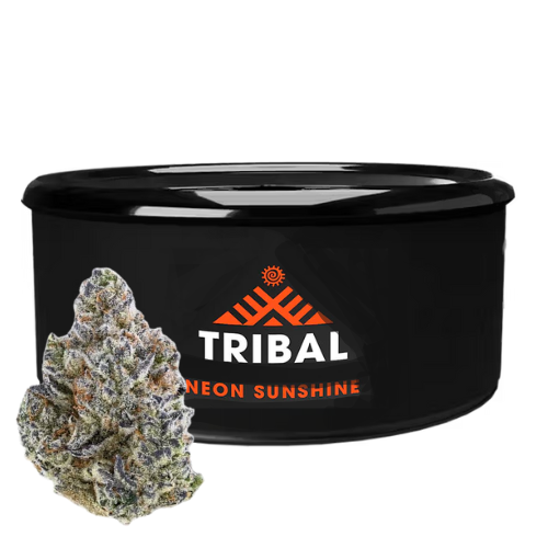 Neon Sunshine 3.5g Dried Flower