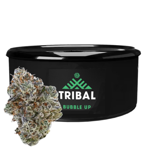 Bubble Up 3.5g Dried Flower