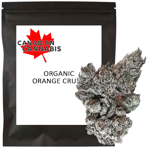 Organic Orange Crush