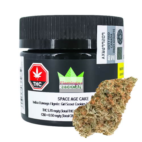 Space Age Cake 3.5g Dried Flower