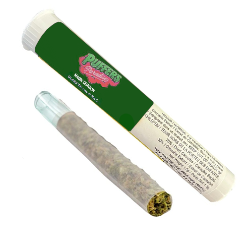 Magik Dragon 1 x 0.5g PreRolls