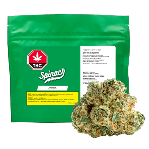 Product image Space Cake 14g Dried Flower 1
