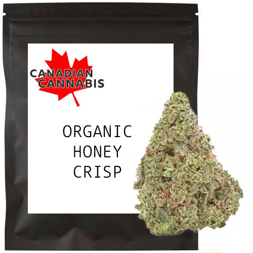 Product image Organic Honey Crisp 1
