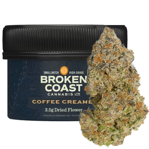 Coffee Creamer 3.5g Dried Flower