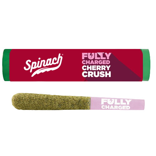 Cherry Crush 1 x 0.7g Infused Pre-Roll