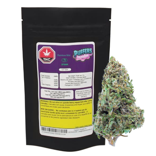 Rainbow Mist 7g Dried Flower 