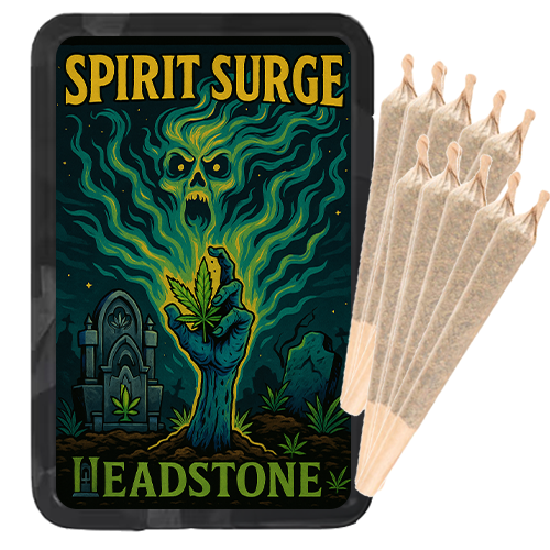 Spirit Surge 10 x 0.5g