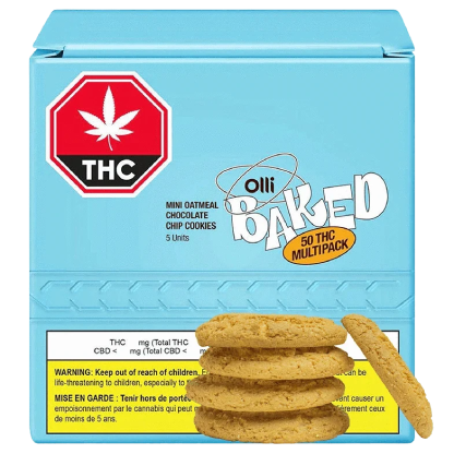 Mini Oatmeal Chocolate Chip Cookies  5 Pack