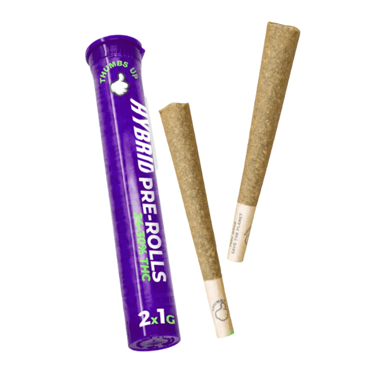 Product image Hybrid 2 x 1g 1