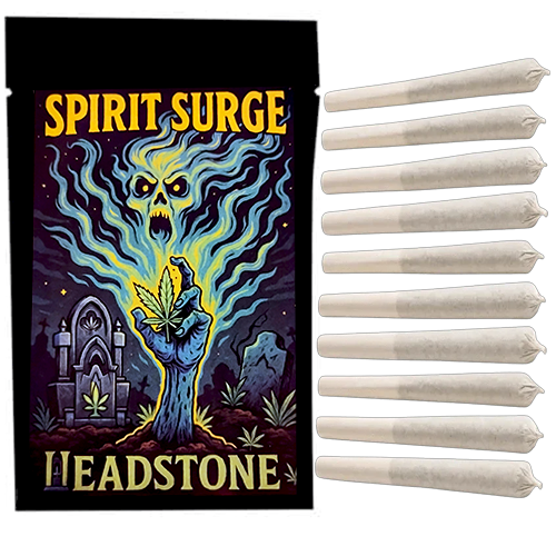 Spirit Surge 10 x 0.5g
