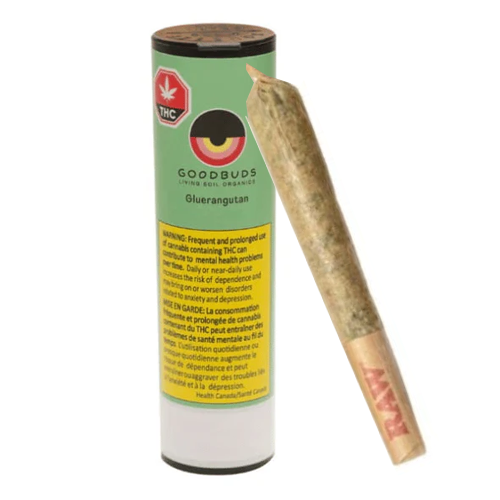 Gluerangutan 1 x 1g PreRoll